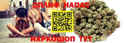 тгк Гатчина