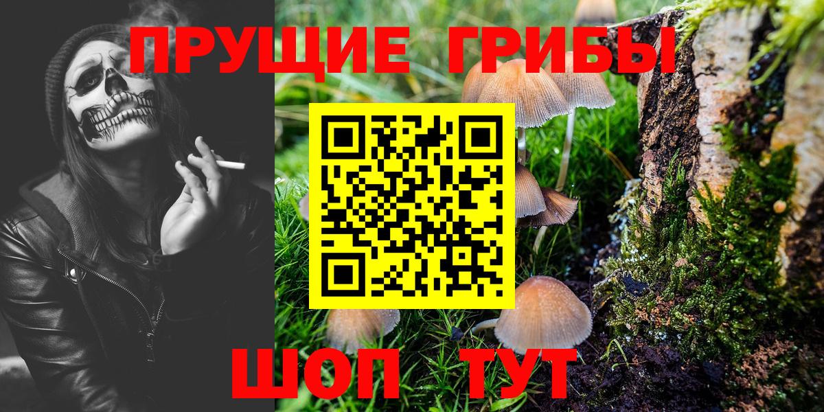 Псилоцибиновые грибы Psilocybine cubensis Вязники