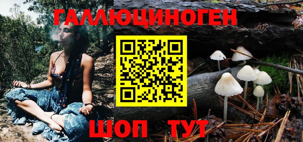 Галлюциногенные грибы ЛСД  Галлюциногенные грибы Psilocybe  Вход с VPN  Вязники 